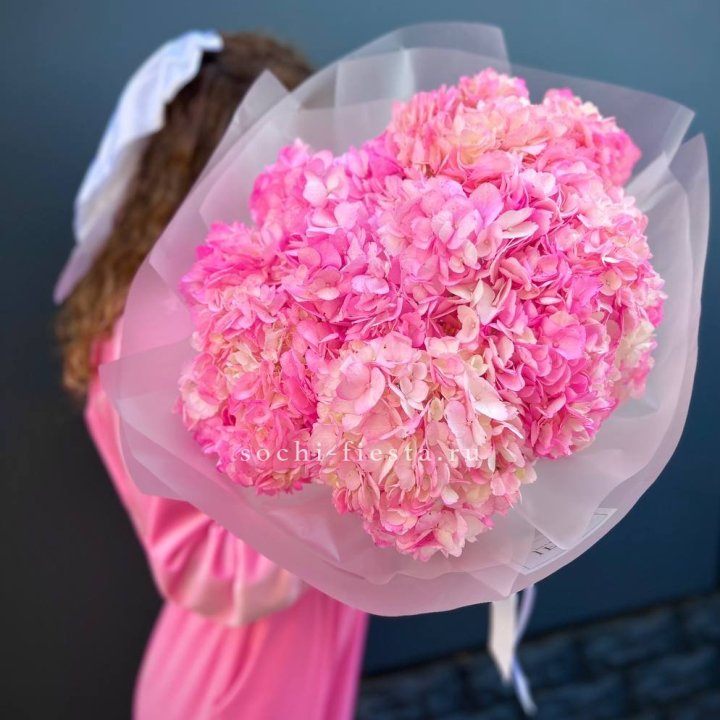 7 ярко розовых гортензий в Владикавказе