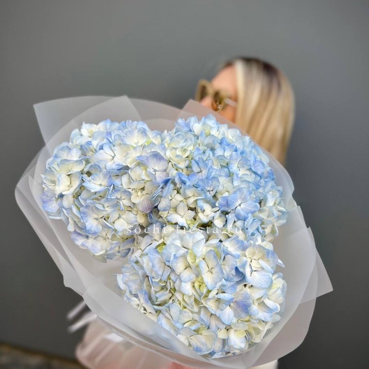Букет из 3 голубых гортензий  в Владикавказе