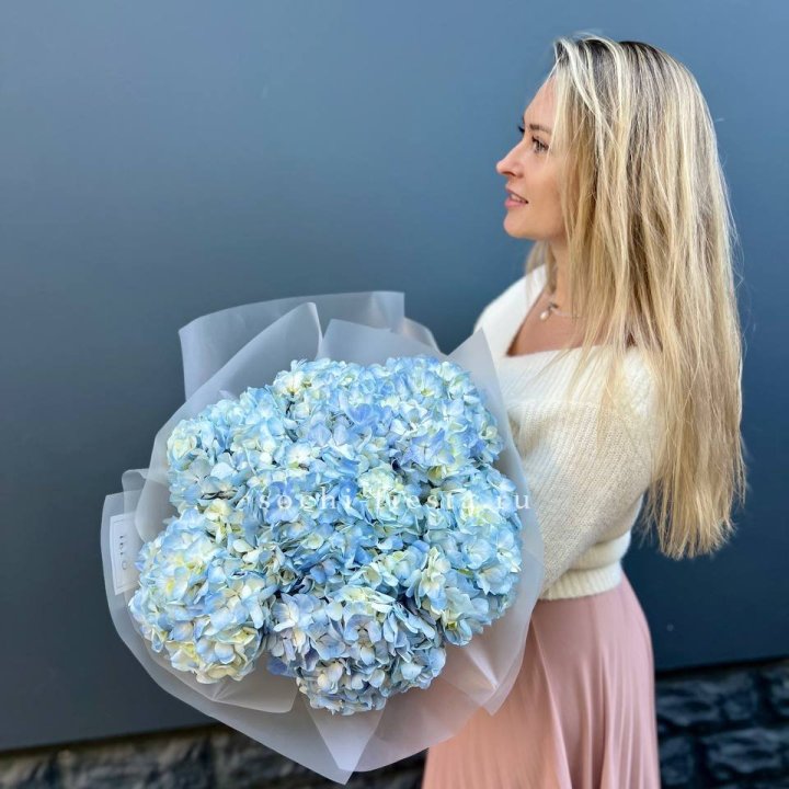 7 голубых гортензий в Владикавказе