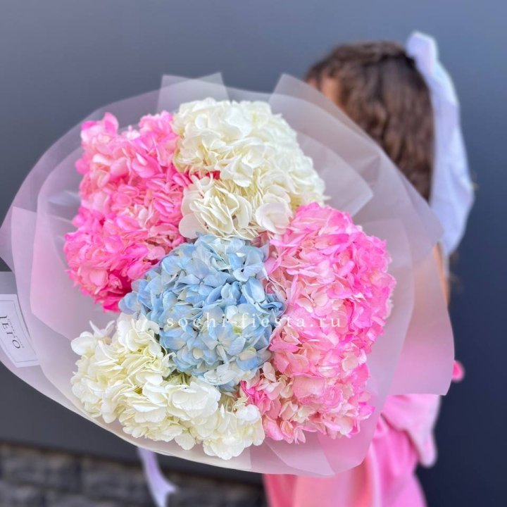 7 гортензий микс в Владикавказе