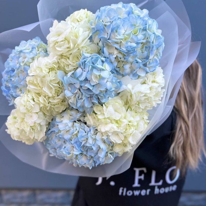 9 бело-голубых гортензий в Владикавказе
