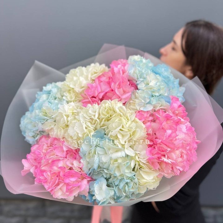 9 гортензий микс в Владикавказе