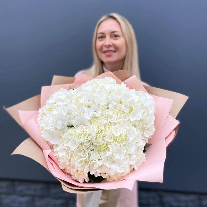 Гортензия белая в Владикавказе