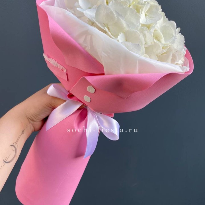 Гортензия в розовом пиджаке в Владикавказе