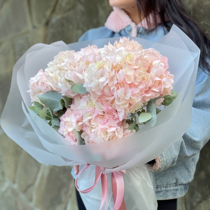 5 розовых гортензий в Владикавказе