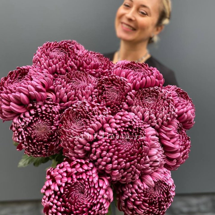 Охапка хризантем Бигуди в Владикавказе