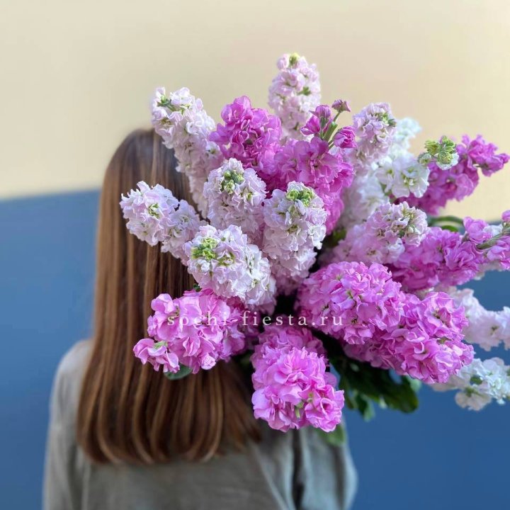 Охапка маттиолы в Владикавказе