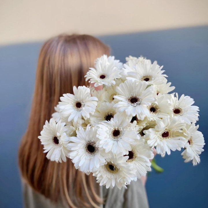 Охапка гербер в Владикавказе