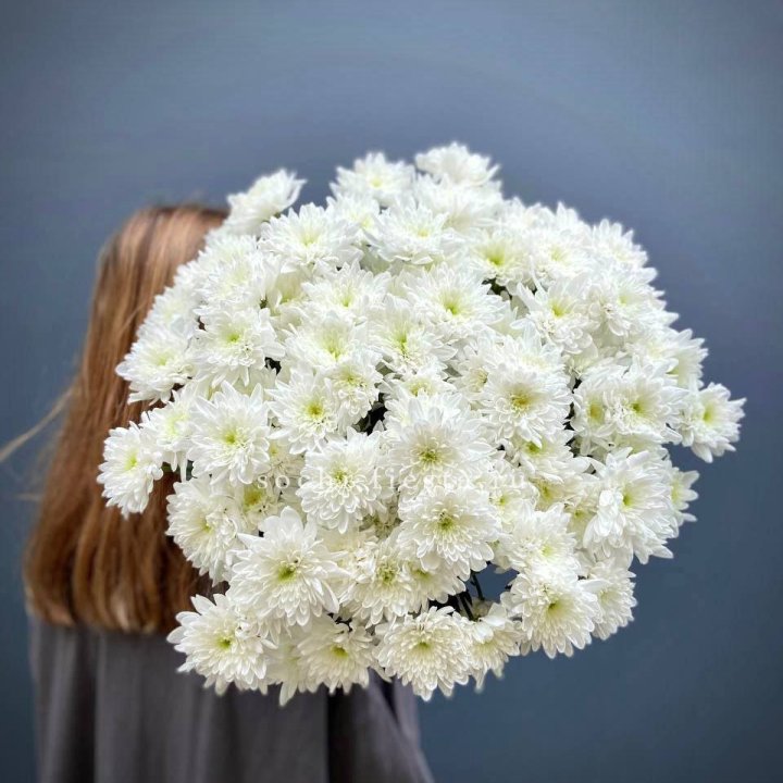 Охапка Хризантемы кустовой в Владикавказе