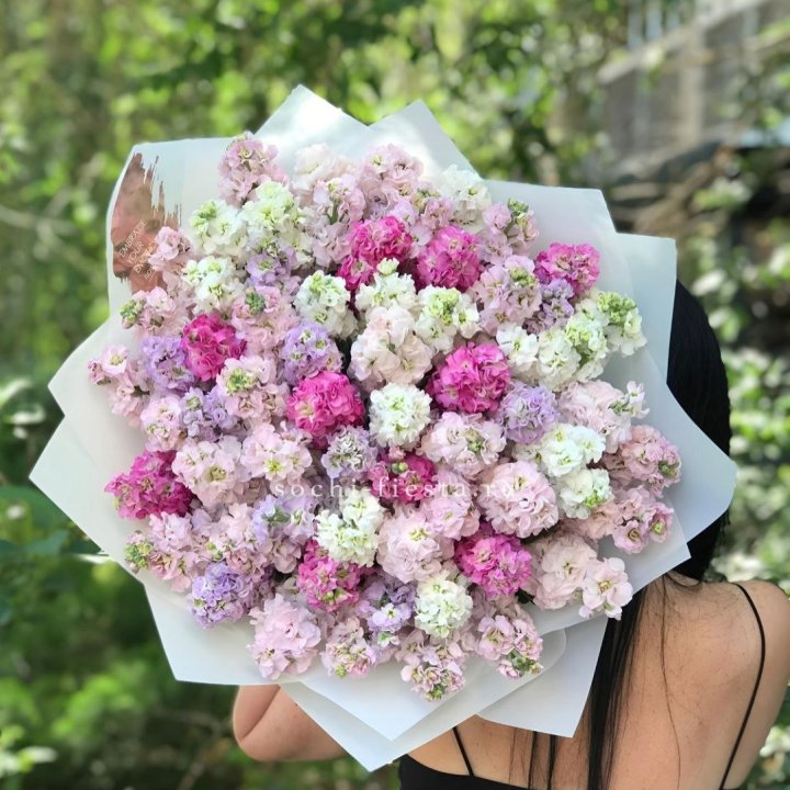 Букет ароматной маттиоллы №3 в Владикавказе