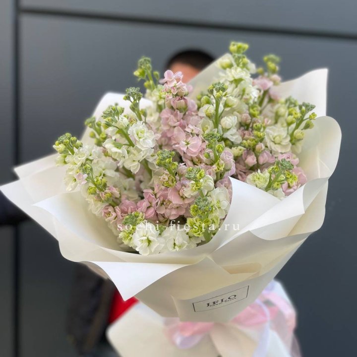 29 маттиол  в Владикавказе