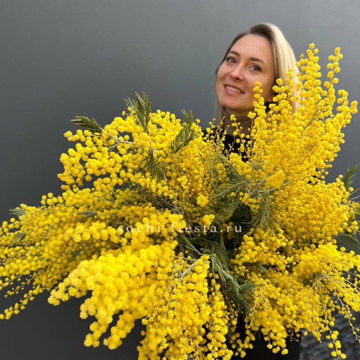 Охапка мимозы №2 в Владикавказе
