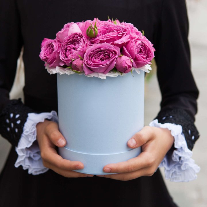 Бокс мини мисти в Владикавказе