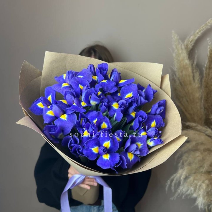 Ирисы в Владикавказе