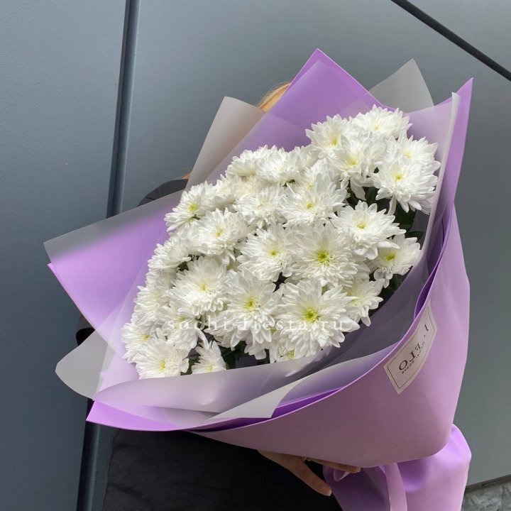  7 хризантем  в Владикавказе