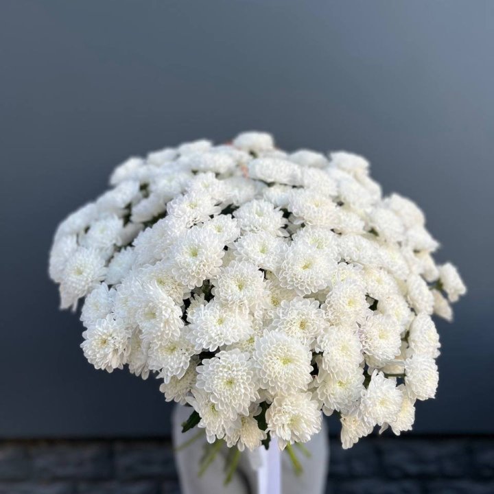  25 хризантем белых в Владикавказе