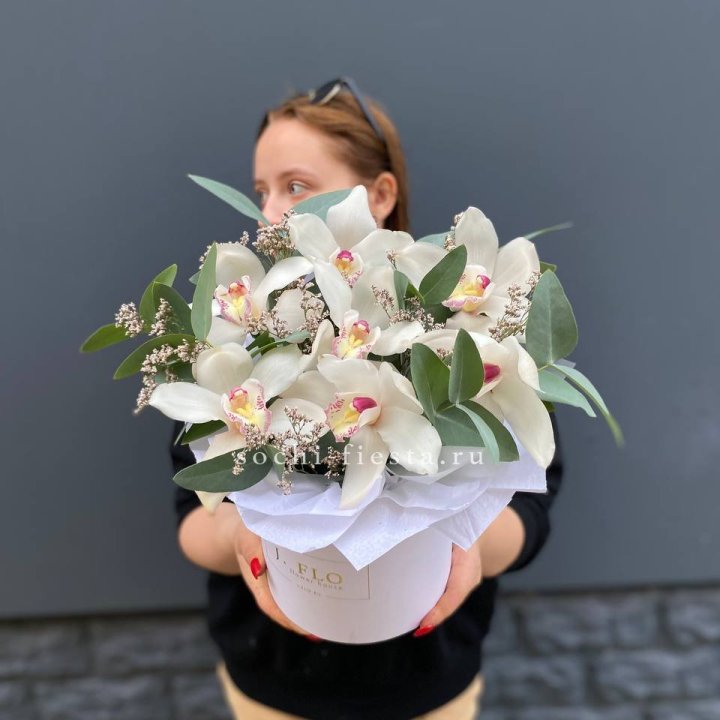 7 орхидей в боксе в Владикавказе