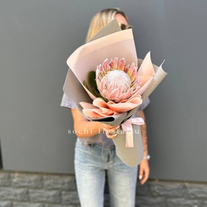 Протея мини  в Владикавказе