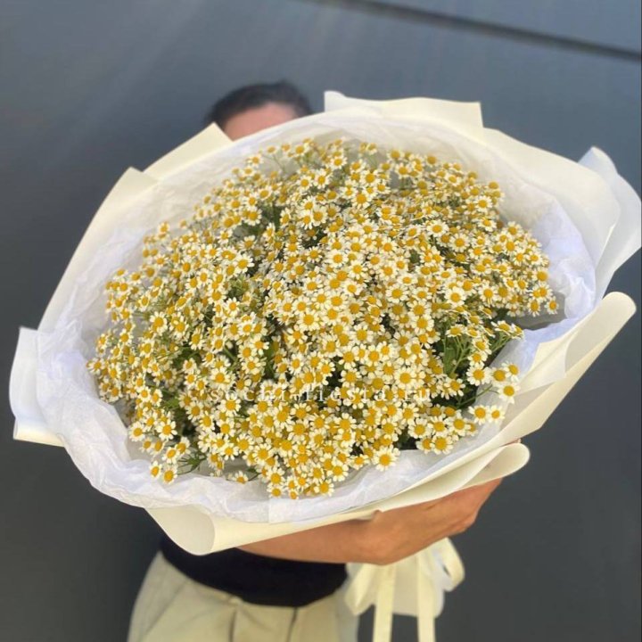 Букет ромашек №2 в Владикавказе