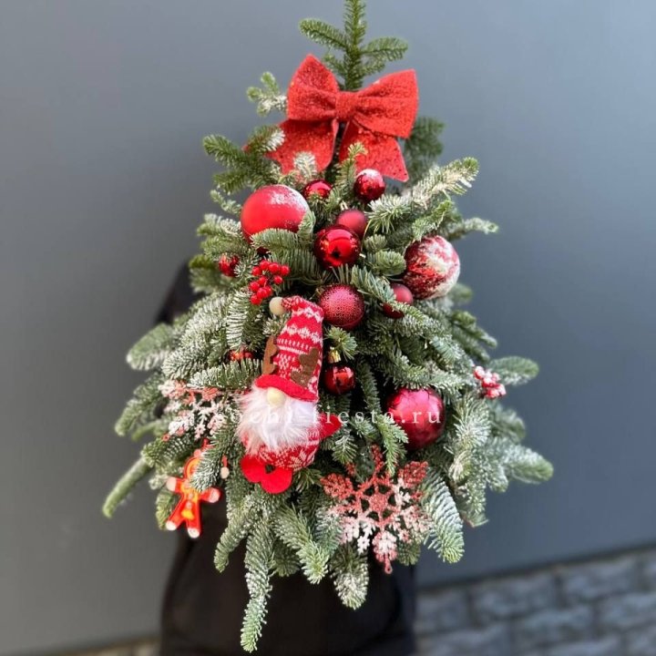 Новогодняя елочка "Ред" в Владикавказе