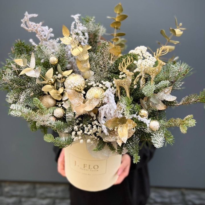 Золотой бокс с нобилисом в Владикавказе