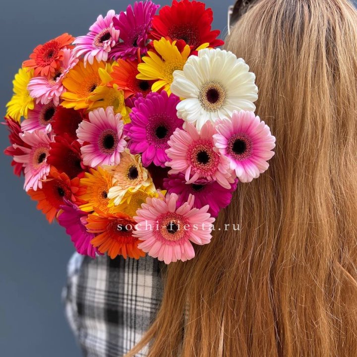 Охапка гербер  в Владикавказе