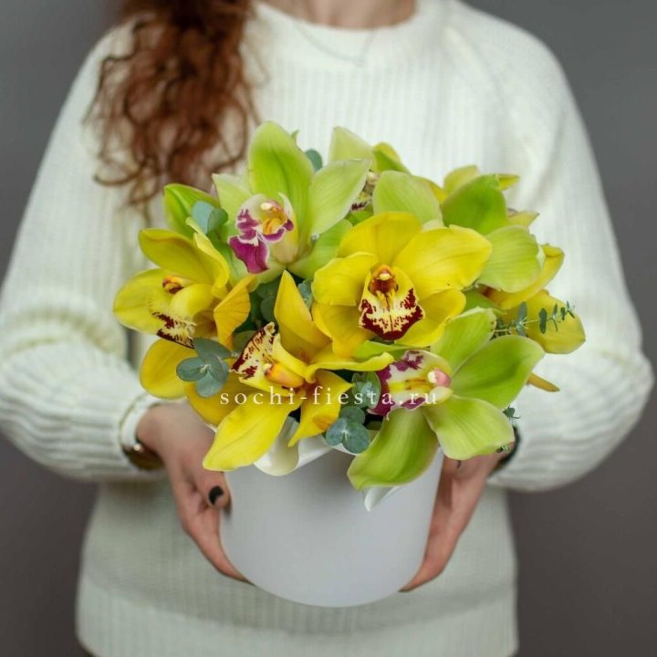 Бокс с орхидей №1 в Владикавказе