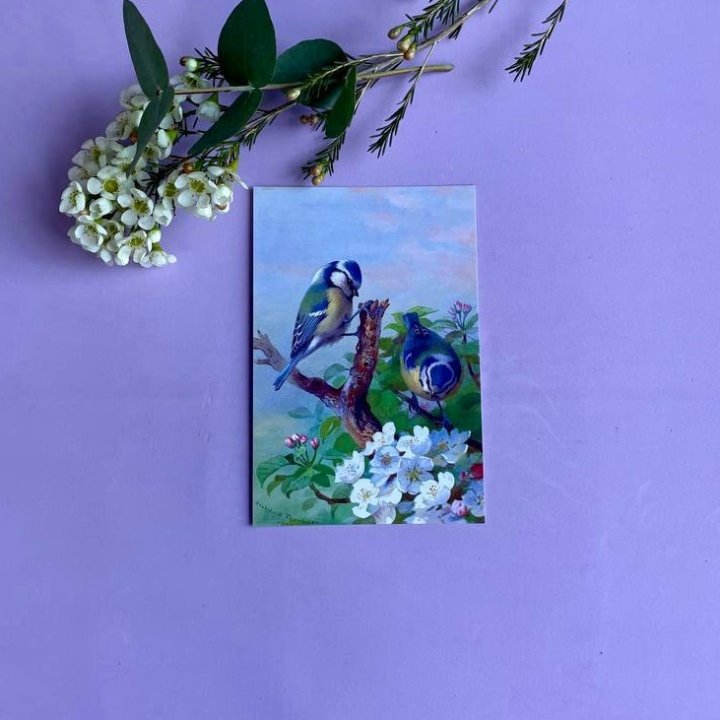 Открытка к букету "Птицы" в Владикавказе