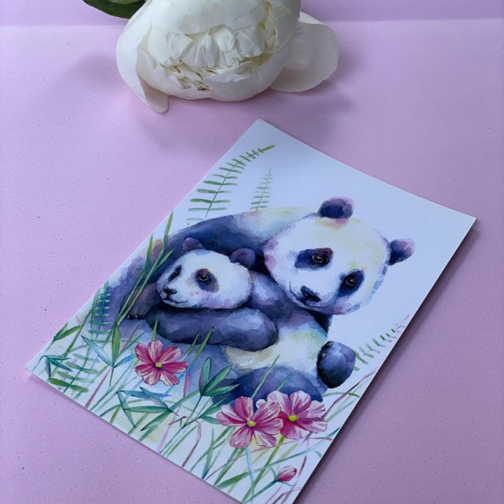 Открытка к букету "Объятие Панды" в Владикавказе