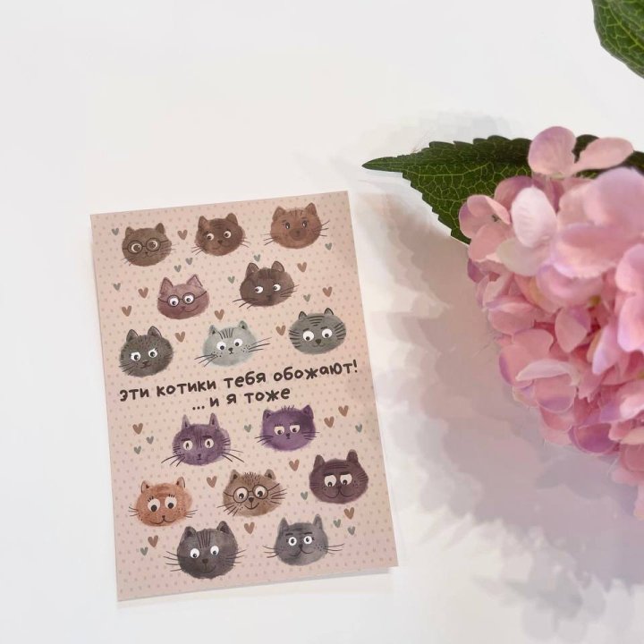 Открытка к букету "Котики" в Владикавказе