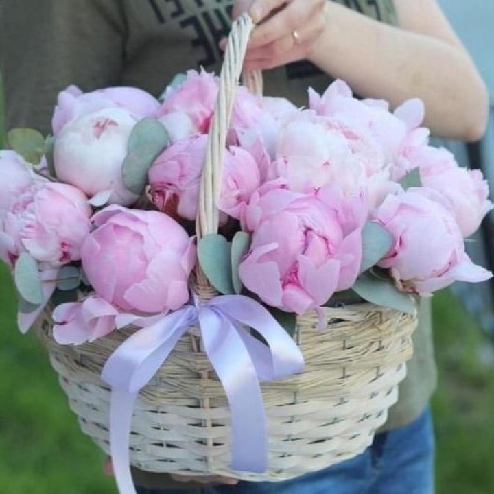 15 пионов в корзине в Владикавказе