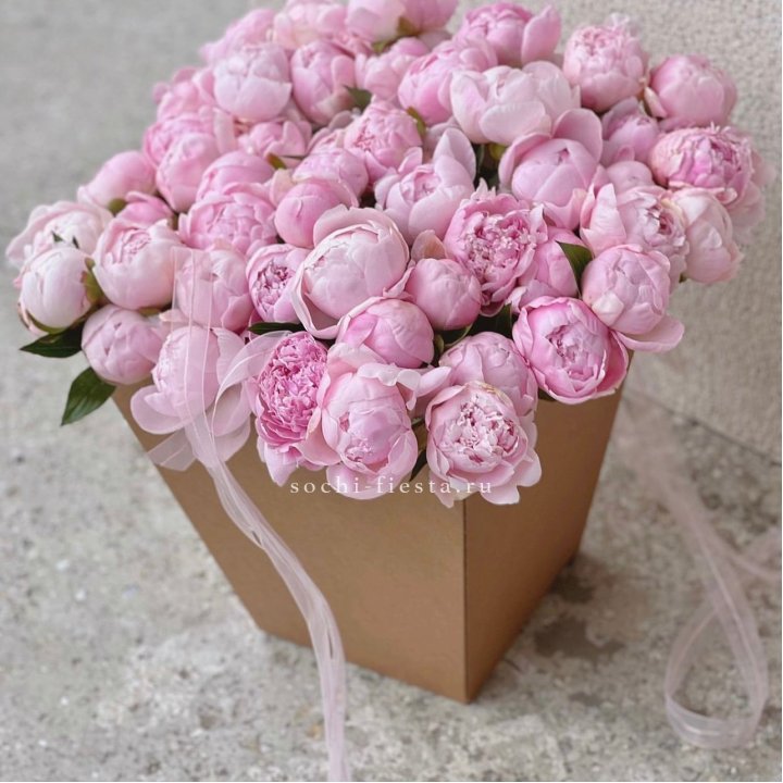 49 пионов в крафт коробке в Владикавказе