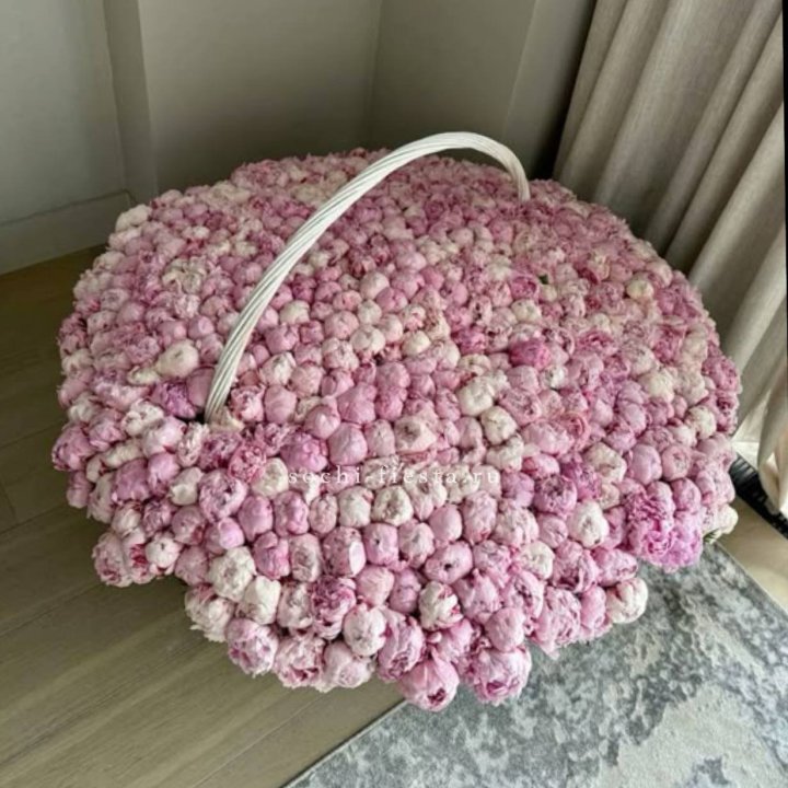 Корзина 555 пионов в Владикавказе