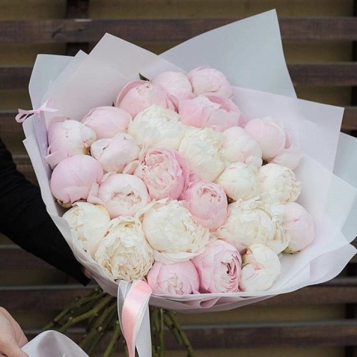 29 пионов в Владикавказе