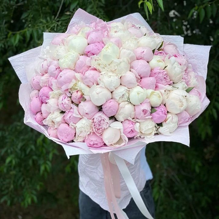 101 пион в Владикавказе