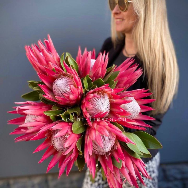 Протея штучно в Владикавказе