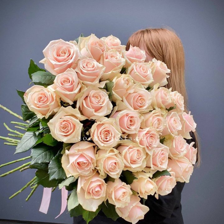 35 кремовых высоких роз в Владикавказе