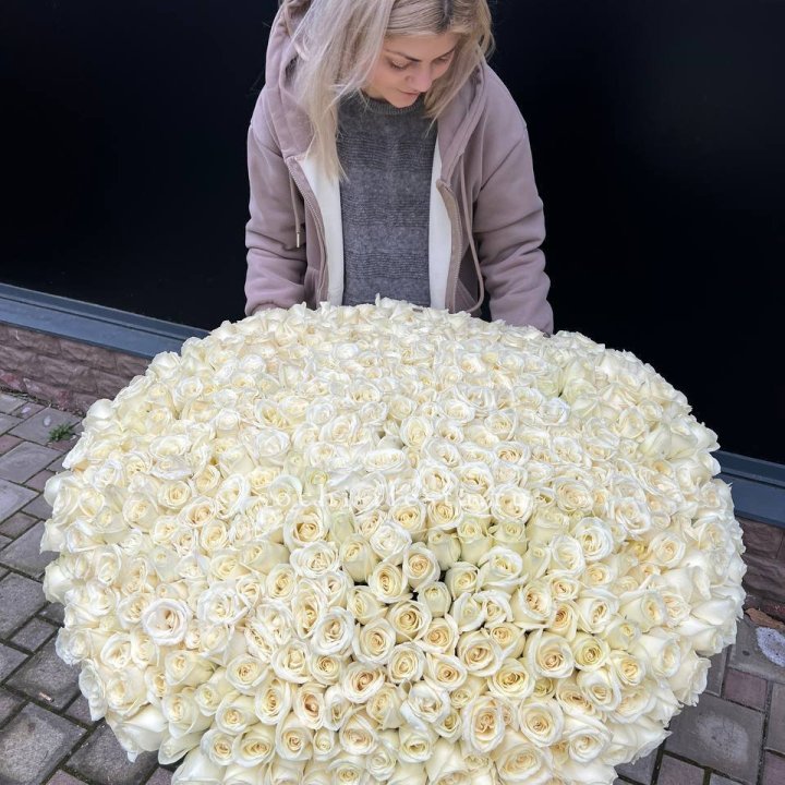 501 белая роза в корзине в Владикавказе