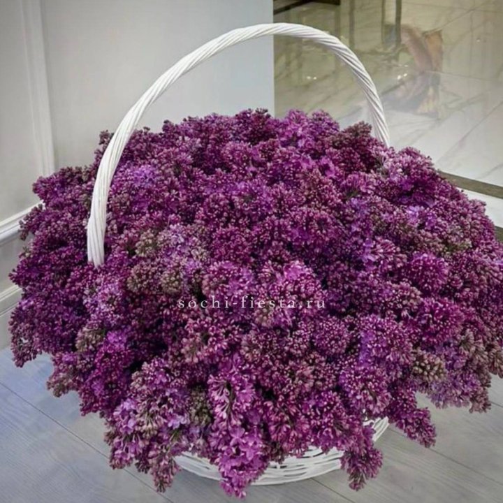 Корзина сирени в Владикавказе