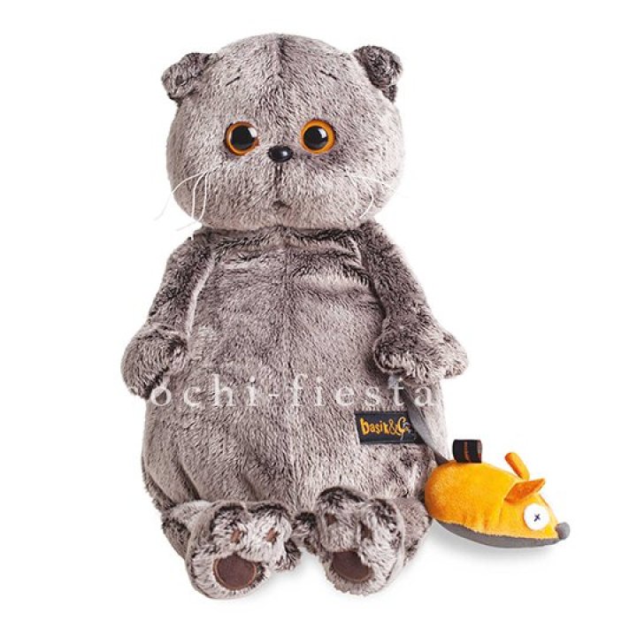 Кот Басик с мышкой в Владикавказе