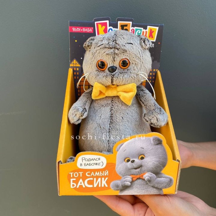 Кот Басик с бабочкой в Владикавказе