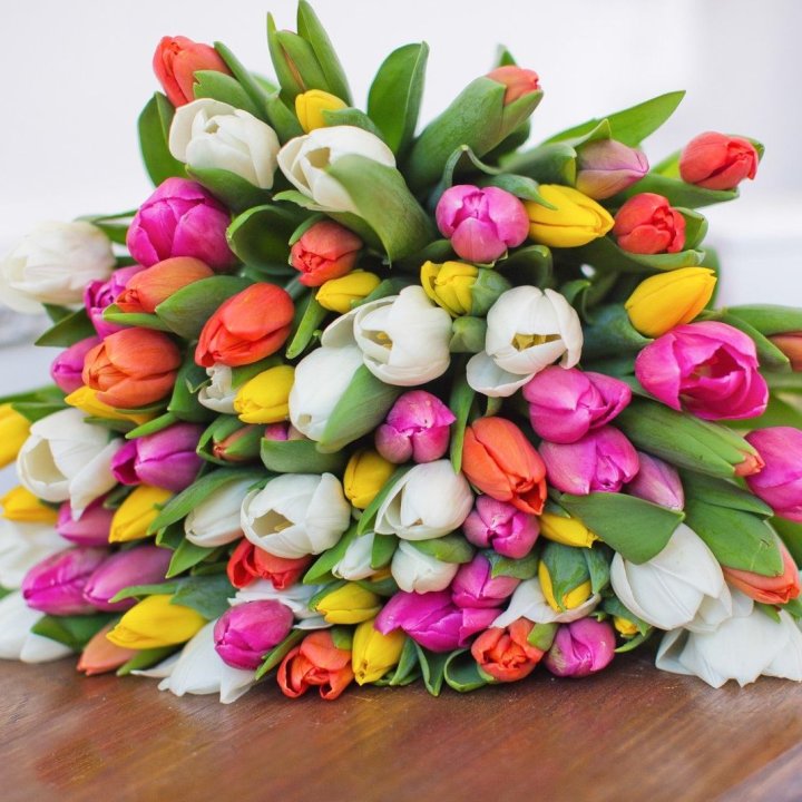 79 тюльпанов "Рандом" в Владикавказе
