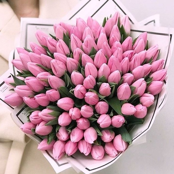 101 розовый тюльпан в белом в Владикавказе
