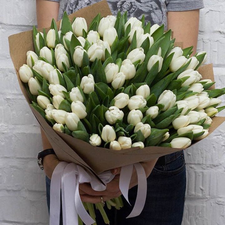 101 тюльпан сноу в Владикавказе