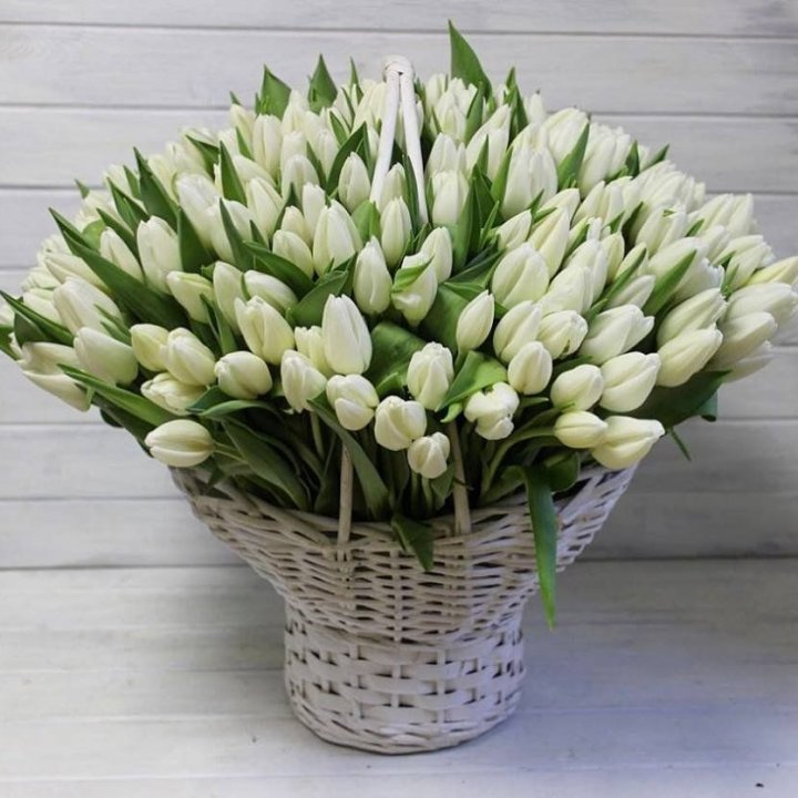 Корзина из 151 тюльпана в Владикавказе