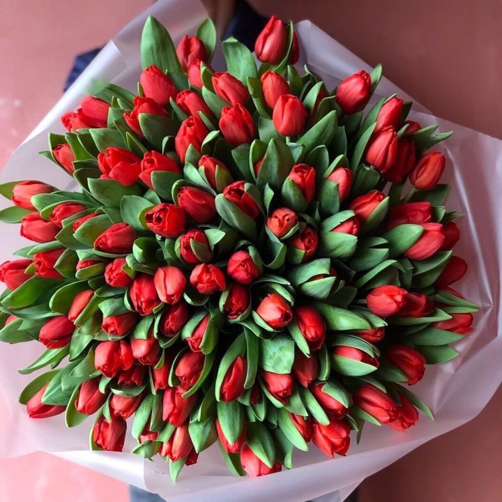 101 красный тюльпан в Владикавказе